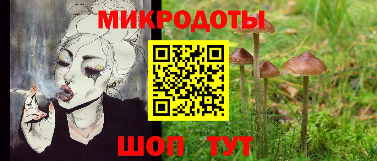 Псилоцибиновые грибы Cubensis  Вход с VPN  Георгиевск 